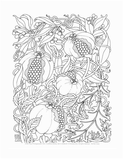 coloring pages  adults simple coloring book    find