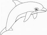 Dolphin Coloring Drawings sketch template