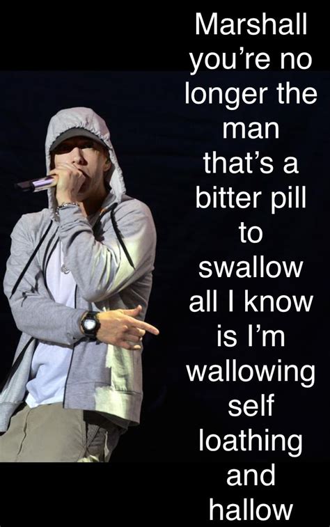Pin By Theo Alexandra On Talkin 2 Myself The Real Slim Shady Eminem