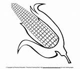 Corn Coloring Cob Pages Ear Color Drawing Para Colorear Mazorca Maiz Good Printable Getdrawings Getcolorings Corncob Colorings Comments sketch template