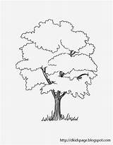 Tree Coloring Pages Roots Getdrawings sketch template