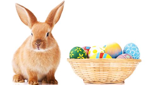 origins   easter bunny  easter eggs
