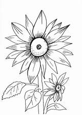 Sonnenblume sketch template