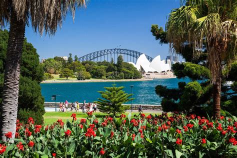 royal botanic garden   domain sydney australia official