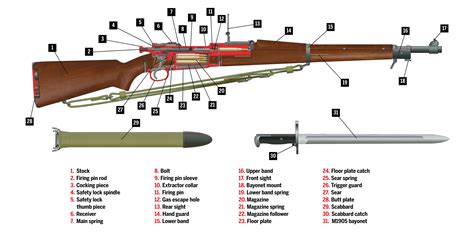 springfield rifle diagram
