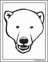 Polar Bear Coloring Pages Face Color Printable Cute sketch template