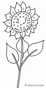Sonnenblume Ausdrucken Artus Downloaden sketch template