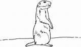 Prairie Dog Coloring Dogs Clipart Pages Prarie Clip Animals Erdmaennchen Drawing Drawings Cartoon Malvorlage Clipground Ausmalbild Tiere Lone Popular sketch template