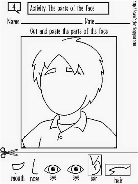 parts   face worksheet