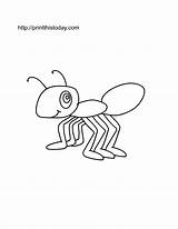 Ant Ants Marching Fourmi Insects Coloriage Coloriages Coloringhome Ladybug sketch template