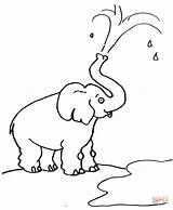 Elefante Colorir Elefantes Elefant Wasser Lanzando Rüssel Elefanten Halaman Trompa Gajah Ausmalbilder Haiwan Designlooter Kertas Mewarna Elephants Kanak Trunks Child sketch template