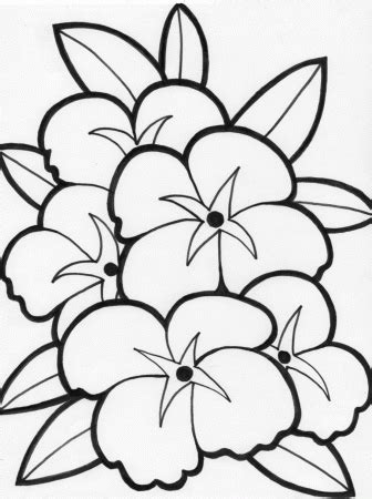 flower coloring pages  coloring home