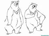 Mewarnai Beruang Realistic Buku sketch template