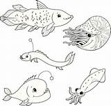 Sea Deep Coloring Fish Vector Life Illustrations Clip sketch template