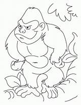 Gorilla Ape Grodd Magilla Ausmalbild Bestcoloringpages Coloringhome sketch template