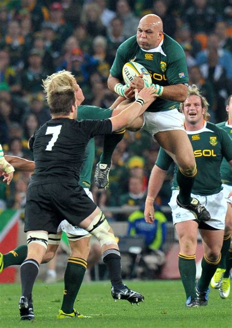 images  springbok rugby
