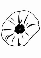 Poppy Coloring Pages Remembrance Flower Clipart Close Flowers Color Printable Popular Library Cut sketch template