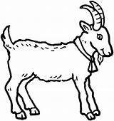 Goat Coloring Clipart Clip sketch template