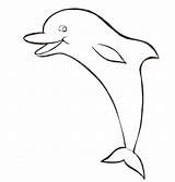 Ausdrucken Ausmalbilder Delfin Delfine Spinner Malvorlagen Dauphins sketch template