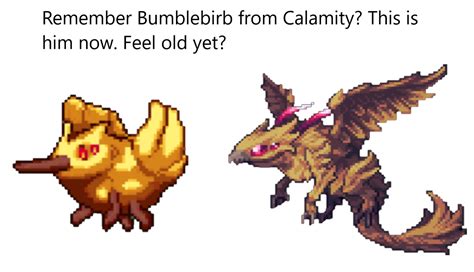 I Did Like The Old Meme Boss Design But The New One Looks Way Cool