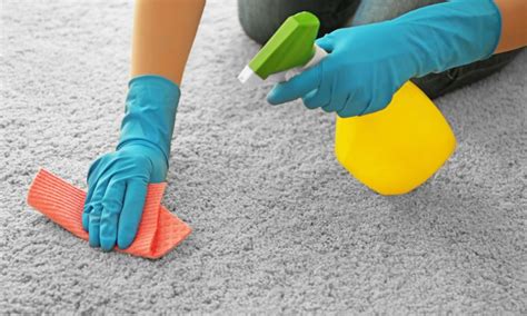 clean throw    carpet pro cleaners network
