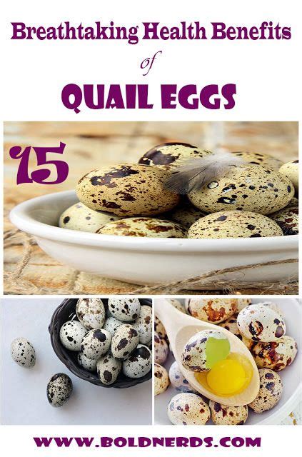 Are Quail Eggs Good For You 15 Amazing Benefits Of Eating Quail Eggs