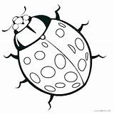 Bug Coloring Pages Getcolorings Printable sketch template