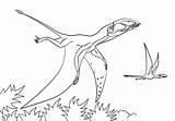 Jurassic Druku Kolorowanki Dimorphodon Kolorowanka Pteranodon Pterodactyl Dinozaury Colorear Flugsaurier Ausmalbild Tarbosaurus Park Dinosaur Pterodáctilo Dinosaurier Zum Jurajski sketch template