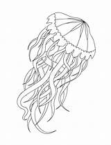 Meduse Zentangle Jellyfish Kwallen Boek Stilizzato Vectorillustratie Kleurende Medusa Witte Achtergrond Geïnspireerde Kleurend Stijl sketch template