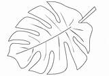 Bladeren Jungle Kleurplaat Palmier Template Leaves Feuille Coloriage Palmboom Feuilles Tropicales Kleurplaten Arbre Cutout Crayola sketch template