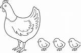 Hen Poule Poulet Coloriages Colouring Hens Poussin Webstockreview Colorier Chickens Pour Galinha Visiter Ecosia Pngwing sketch template