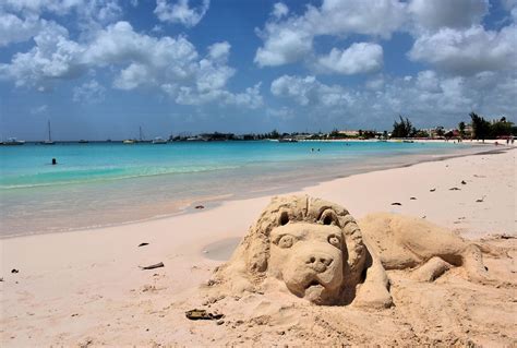 Lion Sand Sculpture At Brownes Beach In Bridgetown Barbados Encircle