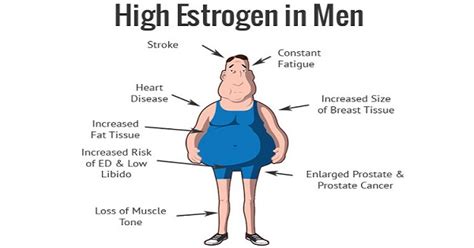 can low estrogen affect libido kugokipux