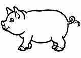 Coloring Pig Template Pages Outline Drawing Animal Print Templates Farm Vector Printable Kids Animals Draw Clipart Patterns Craft Outlines Premium sketch template