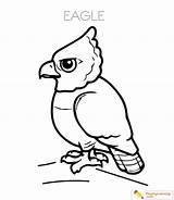 Eagle Coloring Sheet Date sketch template