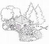 Drawing Canopy Trees Landscape Tree Rainforest House Forest Habitat Draw Desert Tips Using Maple Getdrawings Shade Southwest Outside Site Messervy sketch template