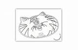 Coloring Lazy Tomcat Cat Pages sketch template