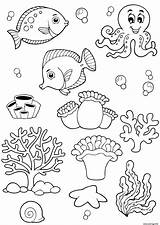 Poissons Colorier Marins Coquillage sketch template