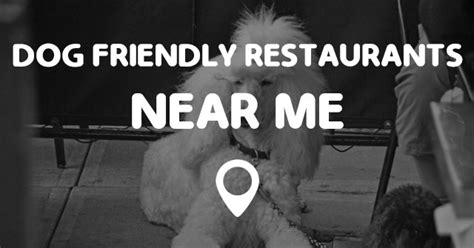 dog friendly restaurants   points