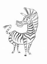 Madagascar Zebra Drawing Marty Coloring Pages Drawings Zoo Daycoloring Paintingvalley sketch template