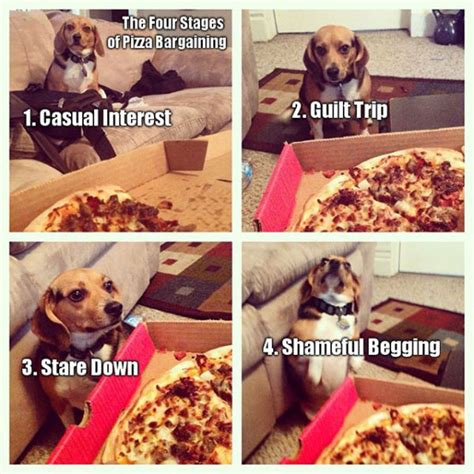 The Very Best Pizza Memes And Funny Photos Craveonline