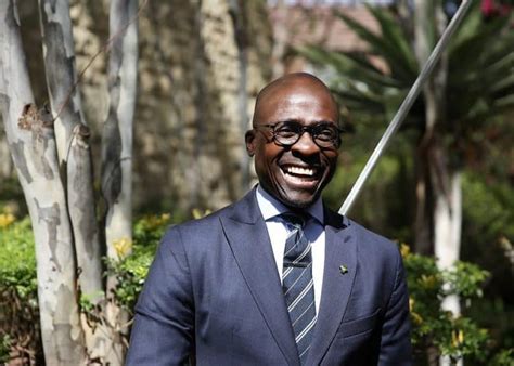gigaba s first wife reacts to his marital problems zalebs
