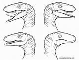 Coloring Jurassic Raptor Dinosaur Baryonyx Gallimimus sketch template