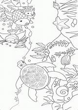 Coloring Pages Fish Rainbow Coloringpagesabc Coral Book sketch template