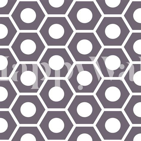 bicolor hexagon pattern wallpaper happywall