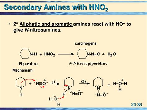 amines powerpoint    id