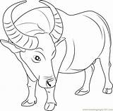 Buffalo Coloring Pages Color Coloringpages101 Printable sketch template