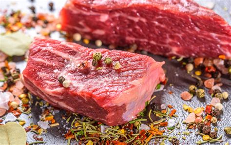 lion diet guide meet  meat  diet understand  risks