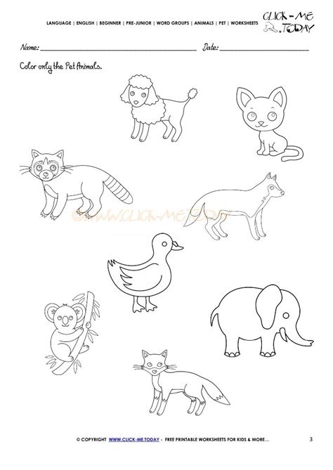 recommendation pet animals worksheets  kindergarten preschool patterns