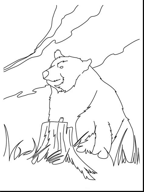 bear paw print drawing  getdrawings